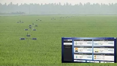 NB-IoT，農(nóng)業(yè)物聯(lián)網(wǎng)產(chǎn)業(yè)化的新路徑
